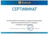Видеорегистратор Bluesonic BS-B100 2 камеры  1920х1080+1280x720,4" NTK96658+AR0330,170°