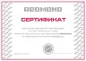 Комбайн REDMOND RFP-3909 750/1500 Вт