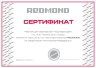 Блендер REDMOND RHB-2942 1300 Вт, черный, плавная регулировка скорости